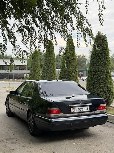 ленинская: Mercedes-Benz S-Class: 1997 г., 5 л, Автомат, Газ, Седан — 5