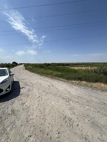 б у фермы: 36 соток, Для сельского хозяйства — 8