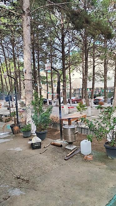 gunluk maasli islər: Ofisiant tələb olunur, Restoran, Gündəlik ödəniş, 30-45 yaş — 3