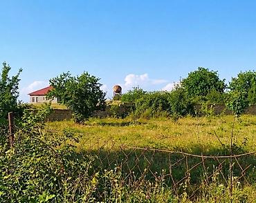 obyekt satilir tecili: 36 sot, Mülkiyyətçi, Kupça (Çıxarış) — 1