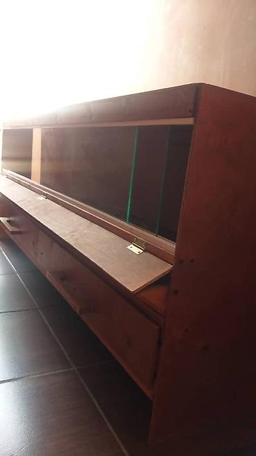 Птицы: Брудеры для цыплят. размеры 150 х 50 х 65 см. Яйцо Брама — 8