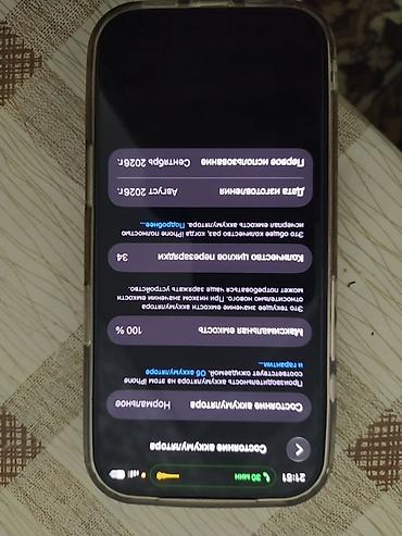 ipad 9 gen: IPhone 18 Pro, бордовый - Память: 512 ГБ (указано в настройках на — 2