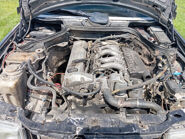 Mercedes-Benz: Mercedes-Benz 250: 2.5 l | 1991 il Van body type — 15