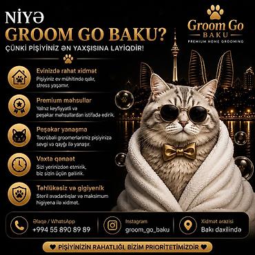 pisik hekimi: Groom Go Baku – Premium Home Grooming (Bakı daxilində) Pişiyinizin — 3