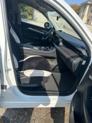 Другие Автомобили: DONGYU SKYWELL EV6 — 9