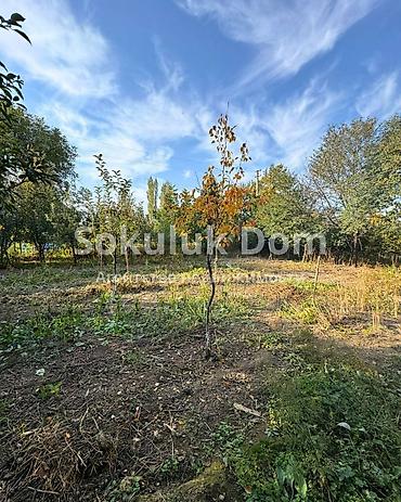 Продажа коттеджей и домов: 🏠Продается дом в с. Сокулук, верхняя зона 🟡 Комнаты: 4 🟡 Участок: 8 — 3