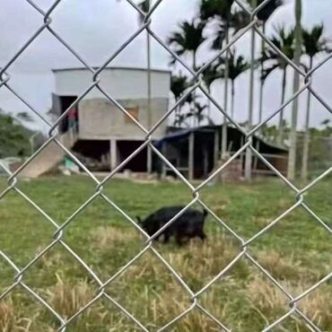 Другие строительные материалы: Продается сетка из нержавеющая 304 стали. Более 50-ти видов сетки — 5