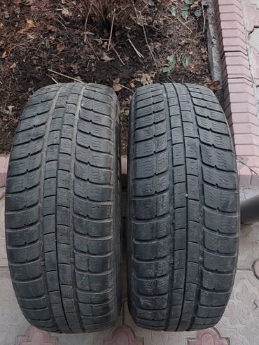 Шины: Шины 195 / 65 / R 15, Зима, Б/у, Пара, Легковые, Франция, Michelin