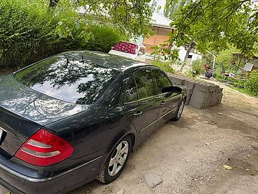 купить мерс с: Mercedes-Benz E-Class: 2003 г., 3.2 л, Автомат, Бензин, Седан — 5