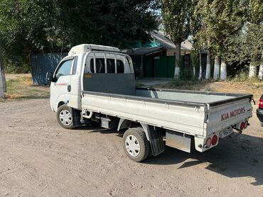 растения для офиса: Портер, Переезд, перевозка мебели, По региону, По городу, с грузчиком
