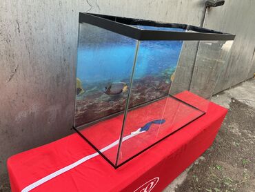 рыбка аквариум: Аквариум полный комплект с подсветкой, кислород, чистка… только без