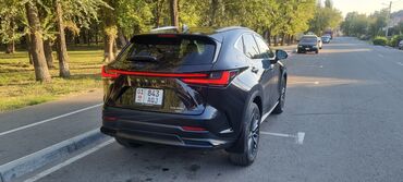 Lexus: Lexus NX: 2022 г., 2.4 л, Автомат, Бензин, Кроссовер — 8