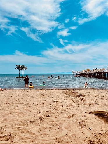 Иссык-Куль 2026: Коттедж, Палм Бич ЦО Palm Beach, Чок-Тал, Детская площадка, Парковка, стоянка, Охраняемая территория — 17