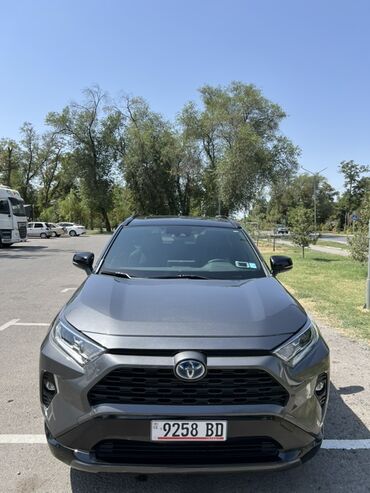 мотороллер муравей купить новый: Toyota RAV4: 2019 г., 2.5 л, Автомат, Гибрид, Кроссовер