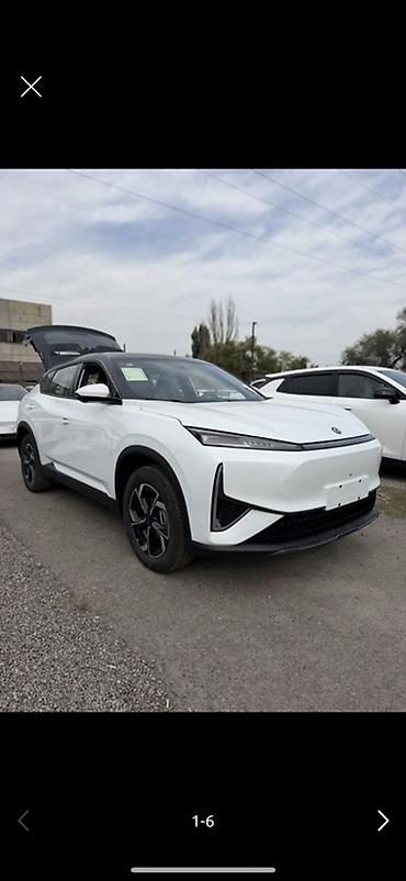 зил отузбир алам: Dongfeng : 2026 г., Электромобиль — 1