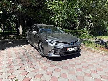 телешка для авто: Toyota Camry: 2023 г., 2.5 л, Автомат, Гибрид, Седан — 2