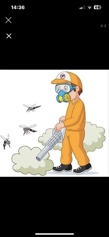 Дезинфекция, дезинсекция: Дезинфекция, дезинсекция, | Блохи, Вирусы, микробы, Клопы, | Дома, Кафе, магазины, Квартиры — 11