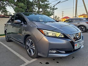 nissan leaf: Nissan Leaf: 2019 г., Электромобиль, Хэтчбэк — 1