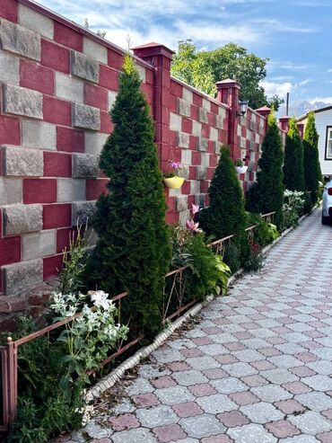 Продажа домов: Дача, 90 м², 4 комнаты, Собственник, Евроремонт — 12