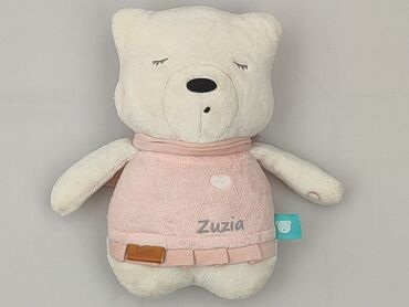 Mascot Teddy bear, condition - Very good