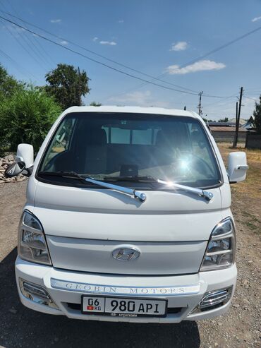 антенны на крышу авто: Жеңил жүк ташуучу унаа, Hyundai, Дубль