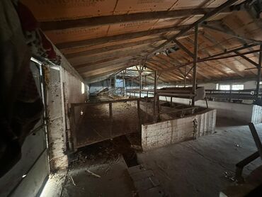 Продажа домов: Времянка, 400 м², 2 комнаты, Собственник — 17