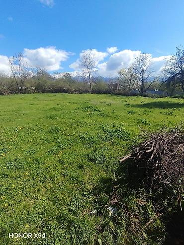 Torpaq sahələrinin satışı: Azərbaycanın ən gözəl guşələrindən biri olan Oğuz rayonu Xaçmaz — 8
