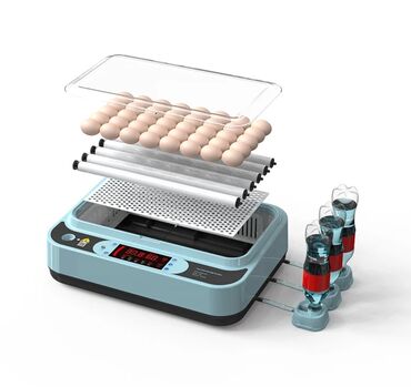 Oprema za kućne ljubimce: INKUBATOR Automatski nove generacije za 36 jaja 12v/220v — 3