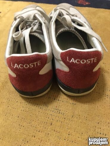 Patike: Patike, Lacoste, veličina - 43 — 13