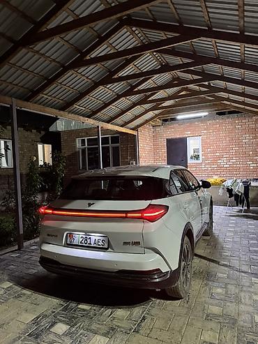 BYD: BYD : 2024 г., Автомат, Электромобиль, Кроссовер — 4