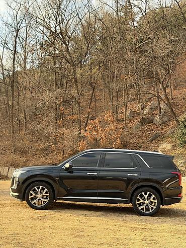 прямоток обмен: Hyundai Palisade: 2020 г., 2.2 л, Автомат, Дизель, Кроссовер — 5