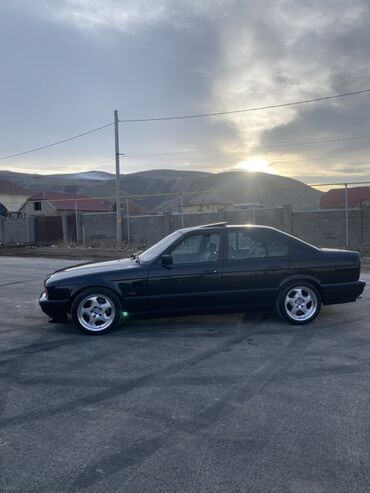 BMW: BMW 5 series: 1995 г., 3 л, Механика, Бензин, Седан — 5