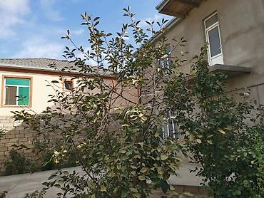 Həyət evləri və villalar: 7 otaqlı, 240 kv. m, Yeni təmirli — 2