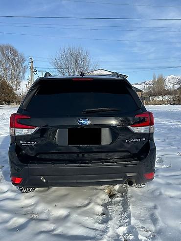 Subaru: Subaru Forester: 2019 г., 2.5 л, Вариатор, Бензин, Кроссовер — 4