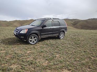 зеркало большие: Honda CR-V: 2002 г., 2.4 л, Автомат, Газ, Кроссовер — 6