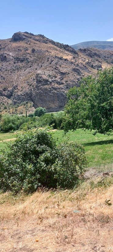 Torpaq sahələrinin satışı: Əkin sahəsi kənd təsərrüfatı fəaliyyəti üçün geniş imkanlar təklif — 5