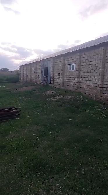 dostluq kinoteatri unvani: Ferma satilir Fuzuli rayonunda. ərazi 3 hektar Nar baǧi movcudur.Su — 2