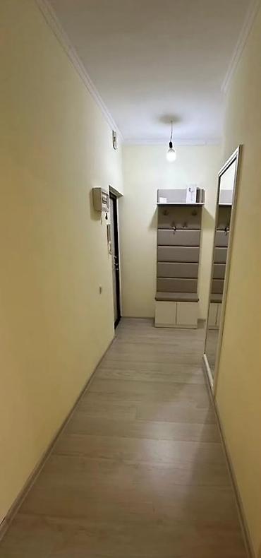 106: 1 комната, 44 м², ул. Калык Акиева 106 серия, 5 этаж, Свежий ремонт — 4
