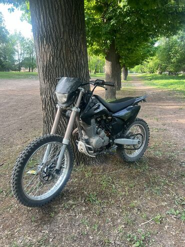 мотор мотоцикла: Эндуро Zongshen, 250 куб. см, Бензин, Взрослый