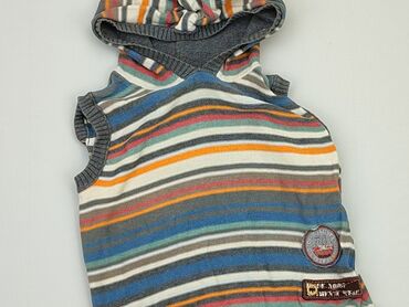 kubek w sweterku pepco: Bluza, Next, 1.5-2 lat, 86-92 cm, stan - Dobry