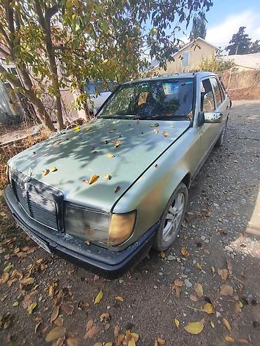 w211 e350: Mercedes-Benz E-Class: 1989 г., 2.9 л, Механика, Дизель, Седан — 1