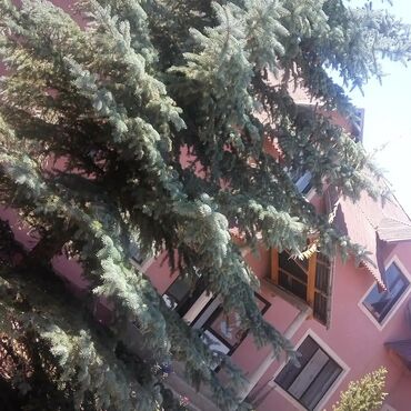 пансионат солнечный: Номер, Тамчы, Детская площадка, Парковка, стоянка, Охраняемая территория