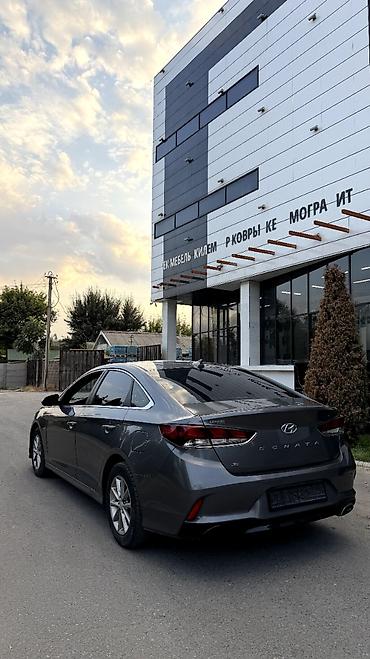 225 65 18: Hyundai Sonata: 2018 г., 2 л, Автомат, Бензин, Седан — 6