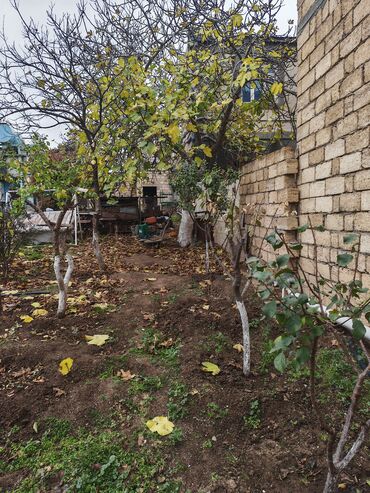 Torpaq sahələrinin satışı: 4 sot, Mülkiyyətçi — 5