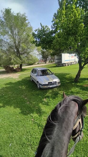 спринтер грузовой продажа: Volkswagen Golf: 1998 г., 1.8 л, Автомат, Купе