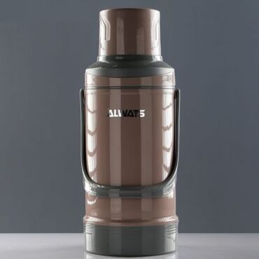 бутыль стеклянный: Термос со стеклянной колбой "Дарвин", 3.2 л Бесплатная доставка по