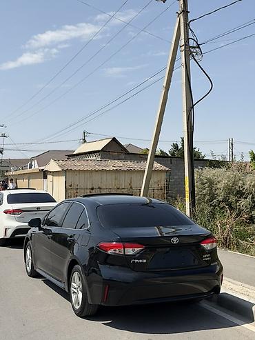 levin corolla: Toyota Levin: 2020 г., 1.8 л, Гибрид, Седан — 4