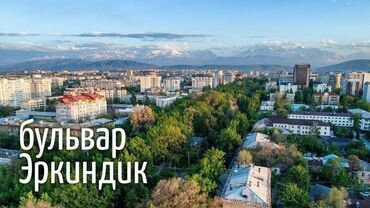 сдаю квартиру собственник бишкек: 5 жана андан көп, 588 кв. м, Элитка, Пентхаус кабат, Евроремонт