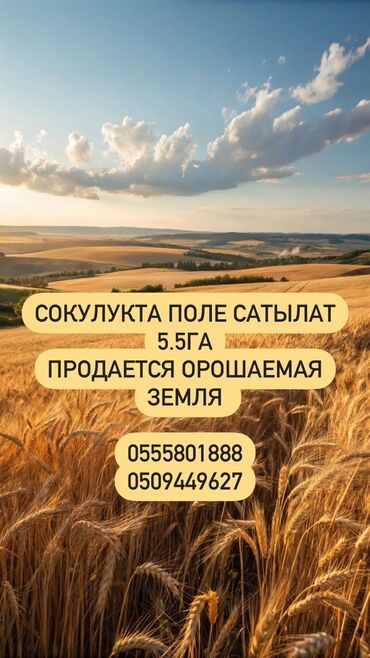 жер бишкеке: 5 соток, Бизнес үчүн, Кызыл китеп, Техпаспорт, Сатып алуу-сатуу келишими