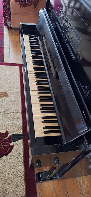 azerbaycan gitara mahnilari: Şəmkirdə Piano 88 klaviş Belarus istehsalı — 5